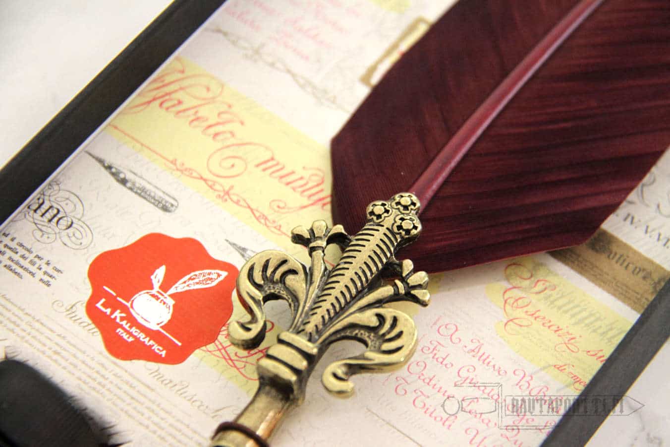 Burgundy Feather Calligraphy Set