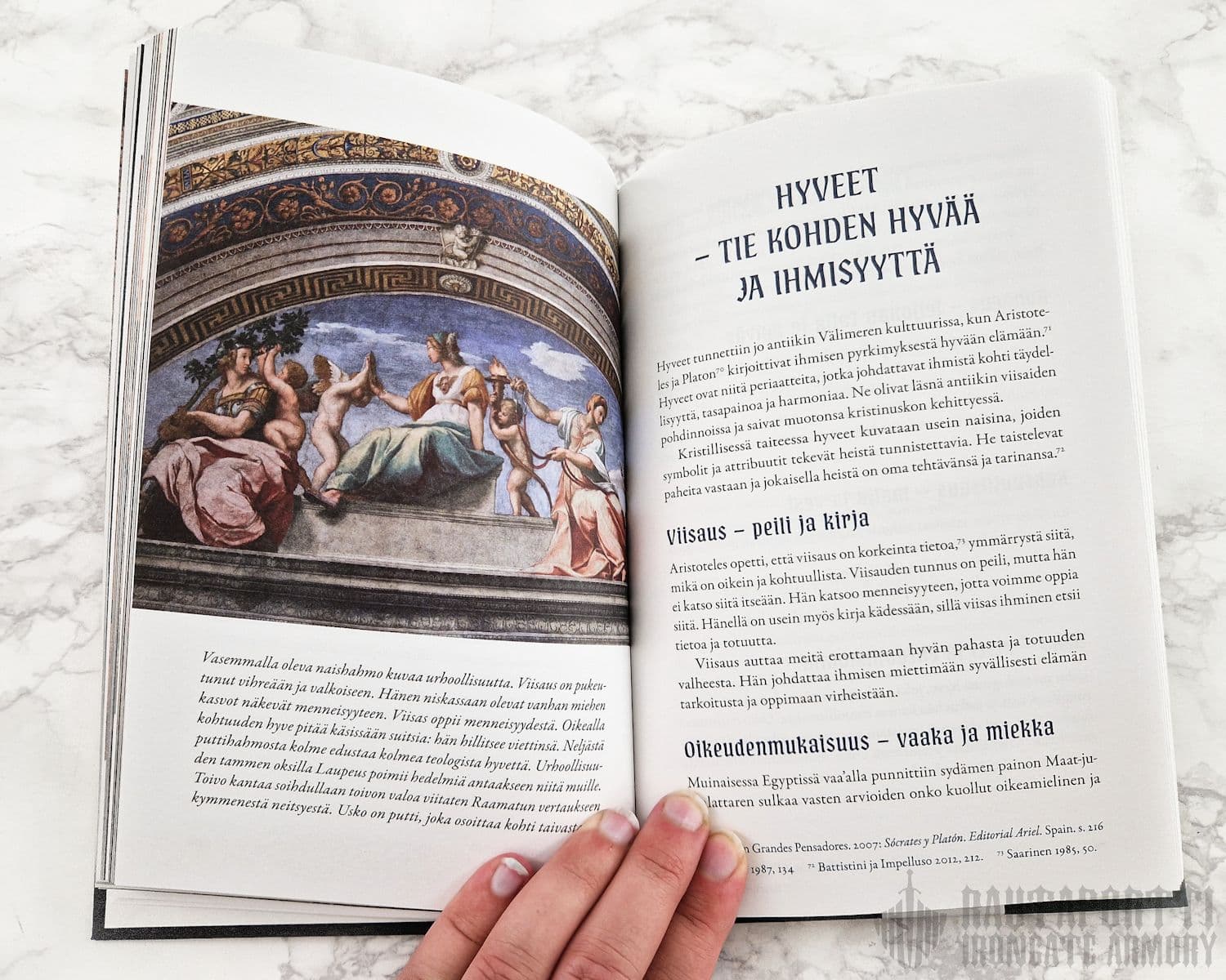 Suomi-neito ja leijona — Kansallisten symbolien merkilliset juuret -book - Image 7